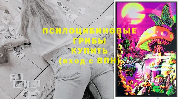 соль ск Алексин