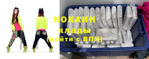 соль ск Алексин