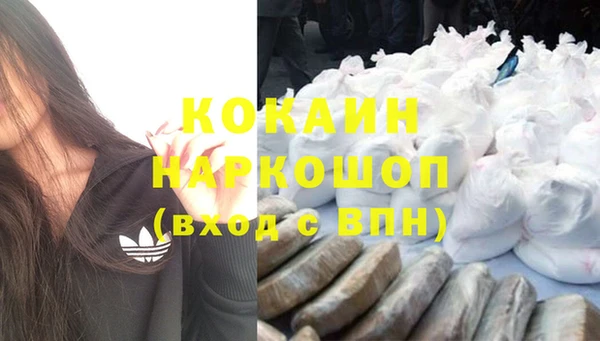 соль ск Алзамай